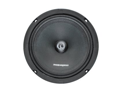 Phoenix Gold ZPRO654 woofer 22