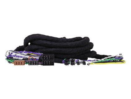 Phoenix Gold ZDC-ISOX5