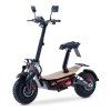 6389 monster 2000 li ion eec e moped lg 232ah kopie 1