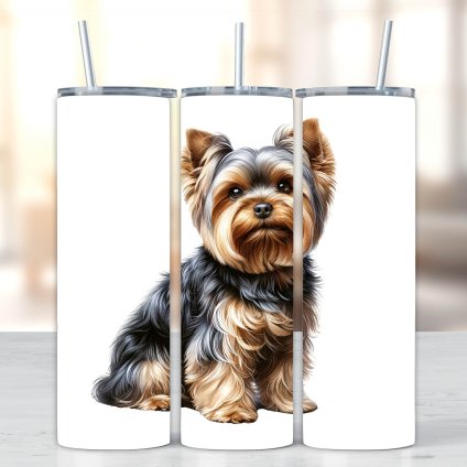 jednotlive navrhy NEW dlouhy format 101