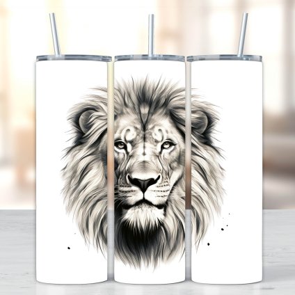 jednotlive navrhy NEW dlouhy format final 13