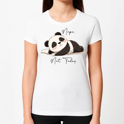 TRICKA DOKUMENT z dat na tasku 26