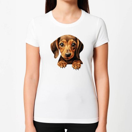 TRICKA DOKUMENT z dat na tasku 20