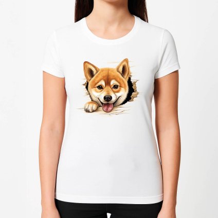 TRICKA DOKUMENT z dat na tasku 33