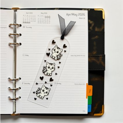 Snímek obrazovky 2026 01 29 v 14.01.00