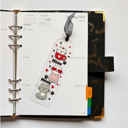 Snímek obrazovky 2026 01 29 v 14.01.47