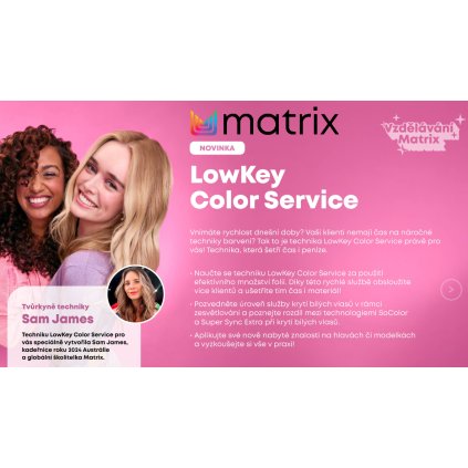 Matrix LowKey Color Service