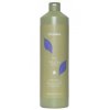 8776_62190-echosline-no-yellow-sampon-1000ml