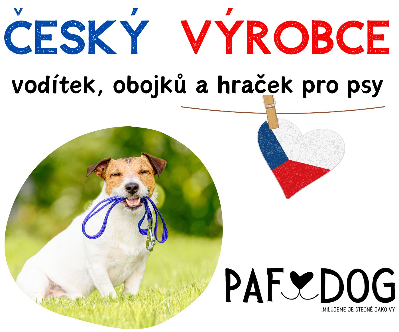 český výrobce vodítek, obojků a hraček pro psy