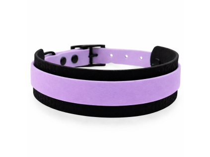 ChatGPT Image 19. 2. 2026 17 28 50