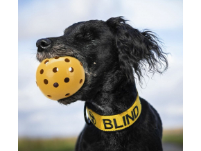 děrovaný gumový míček s rolničkou pro slepé psy