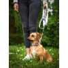 Dizajnové vodítko PafDog®, 5 dĺžok, vzor FOX