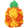 čmuchací kobereček ananas