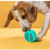 dentální míček pro psy