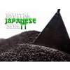 INVITAL Japanese Soil 3l Normal japonský substrát
