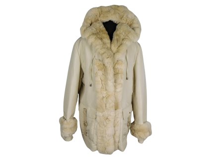 DSCI2520 removebg(1)