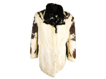 DSCI3200 removebg(1) 2