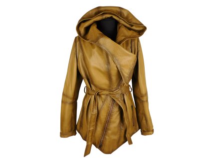 DSCI3480 removebg(1)