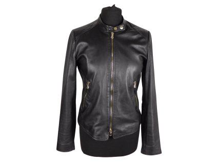 DSCI3504 removebg(1)