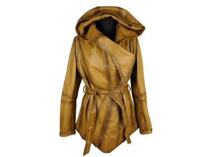 DSCI3480 removebg(1)