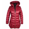 DSCI5559 removebg(1)