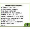 3131 technical specification RGB 72ppi