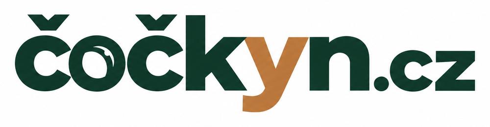 Čočkyn