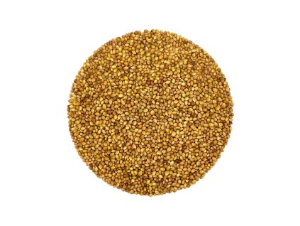 Klee Wiesen-Samen Bio (Gewicht 3 kg)