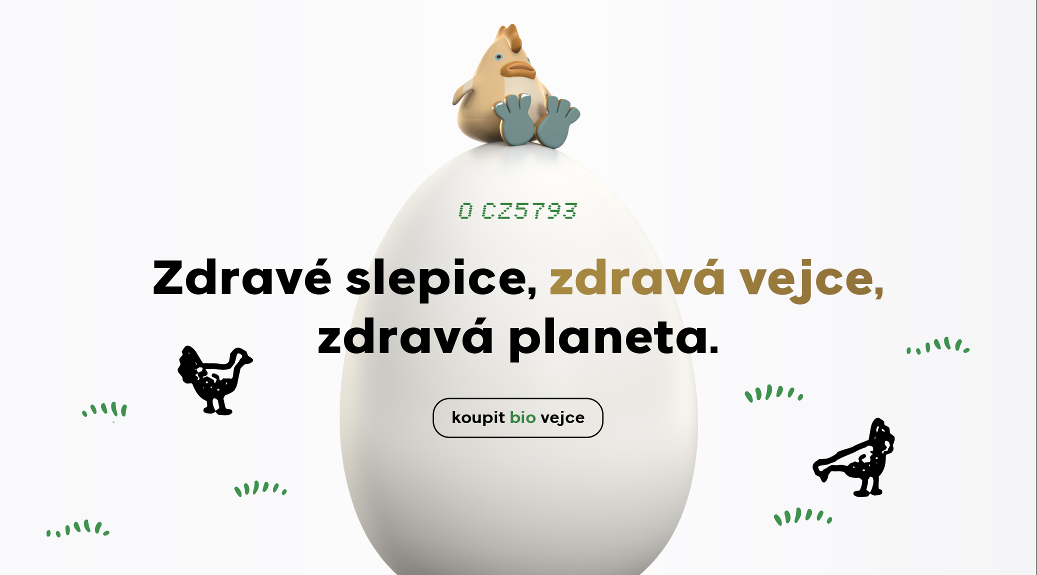 Zdravé slepice, zdravá vejce