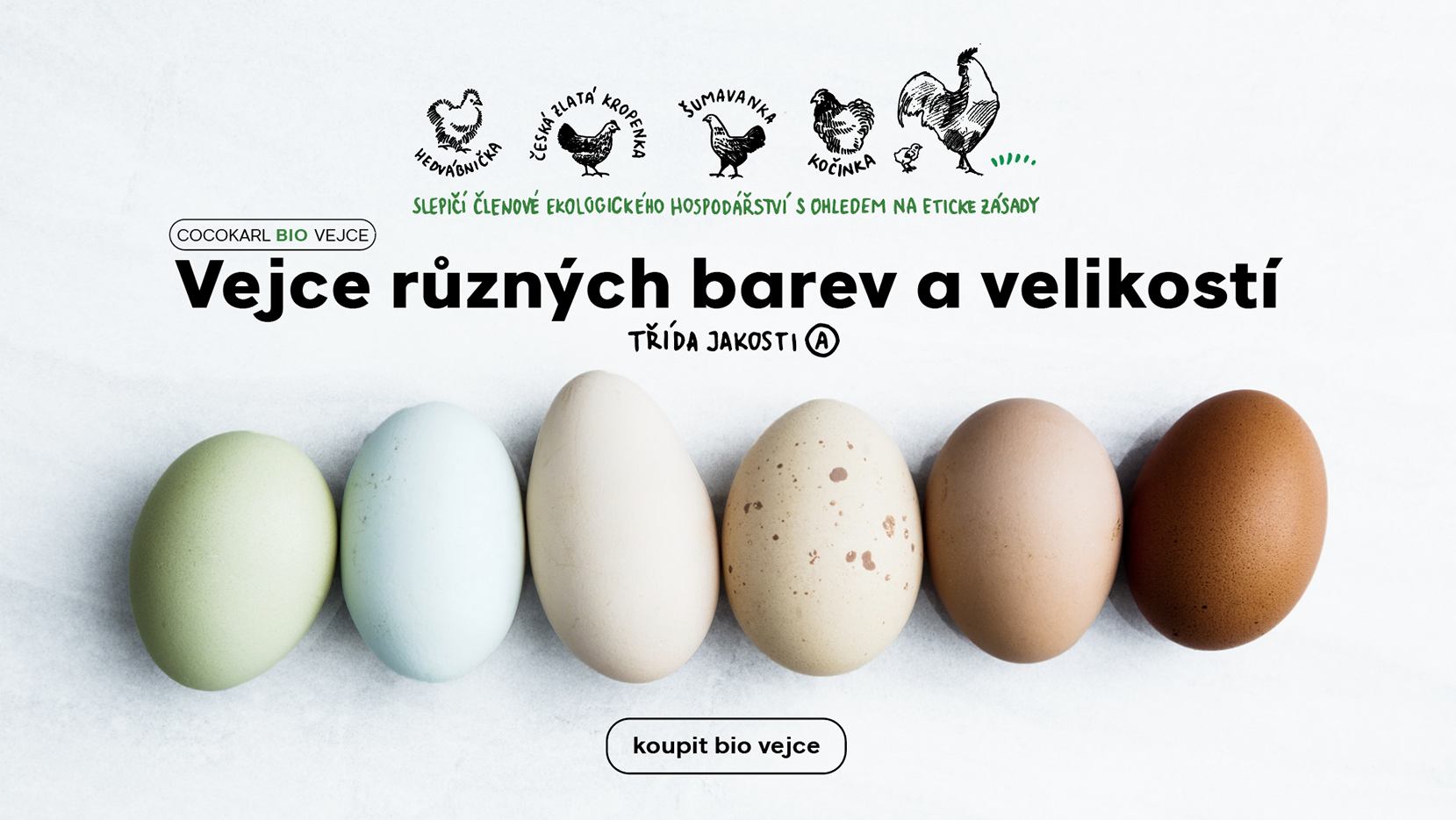 Tohle chceš jíst. Bio vejce cococarl