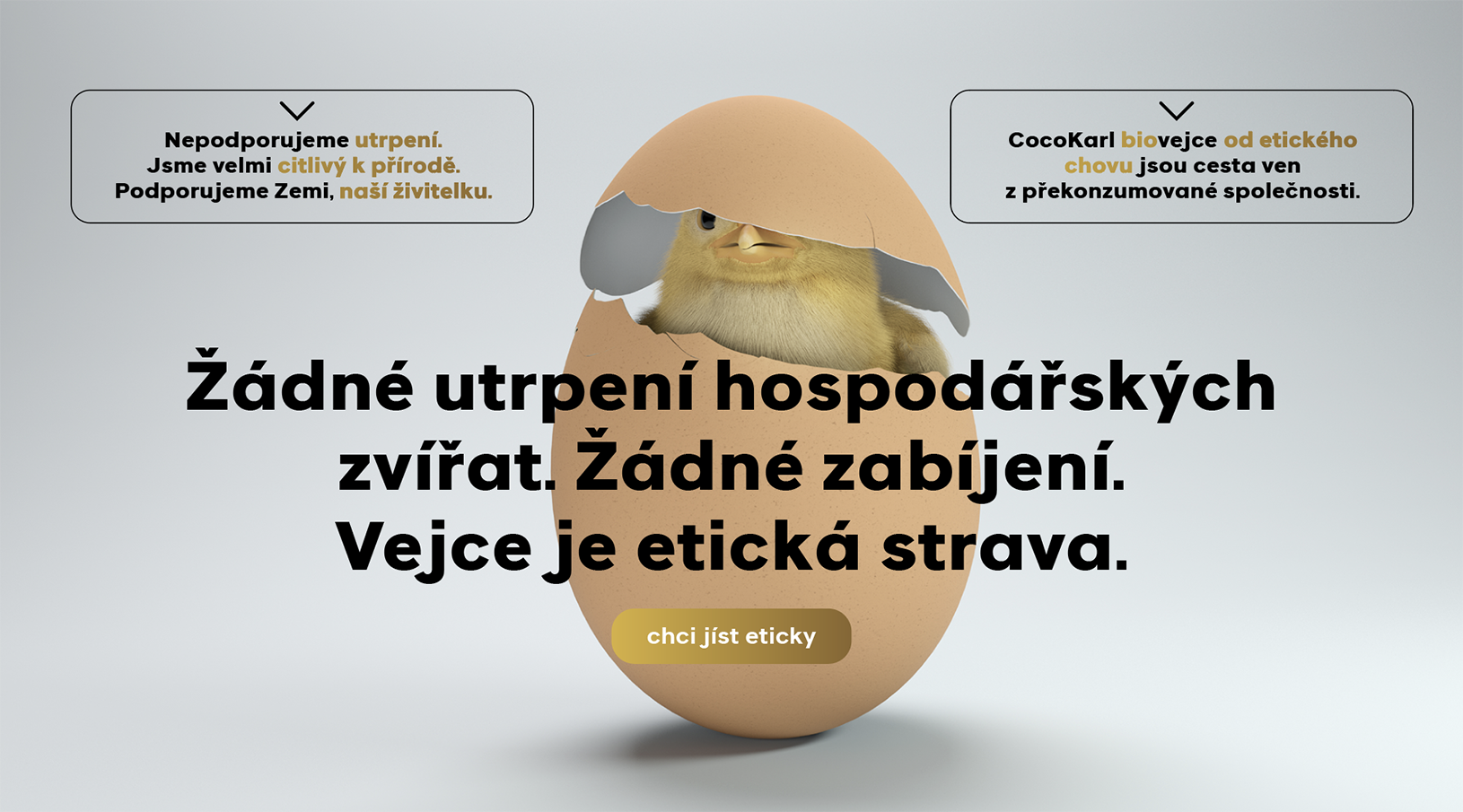 proč CocoKarl