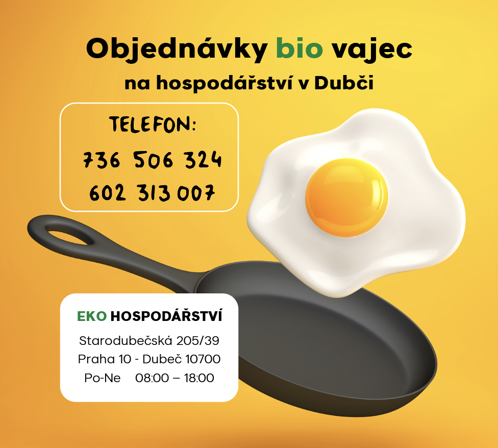 proč CocoKarl