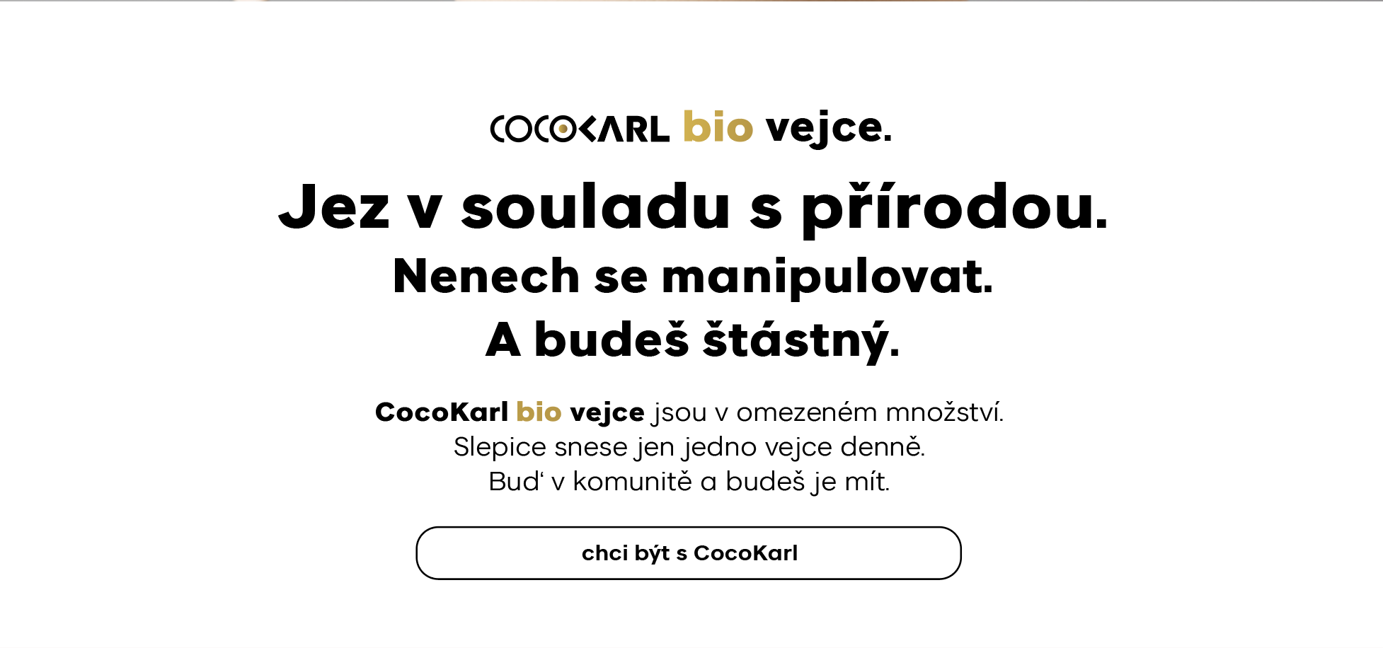 proč CocoKarl