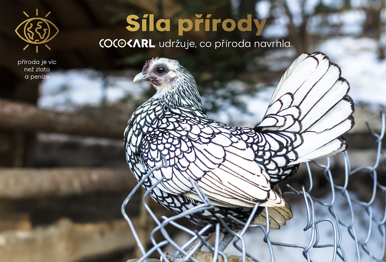 proč CocoKarl