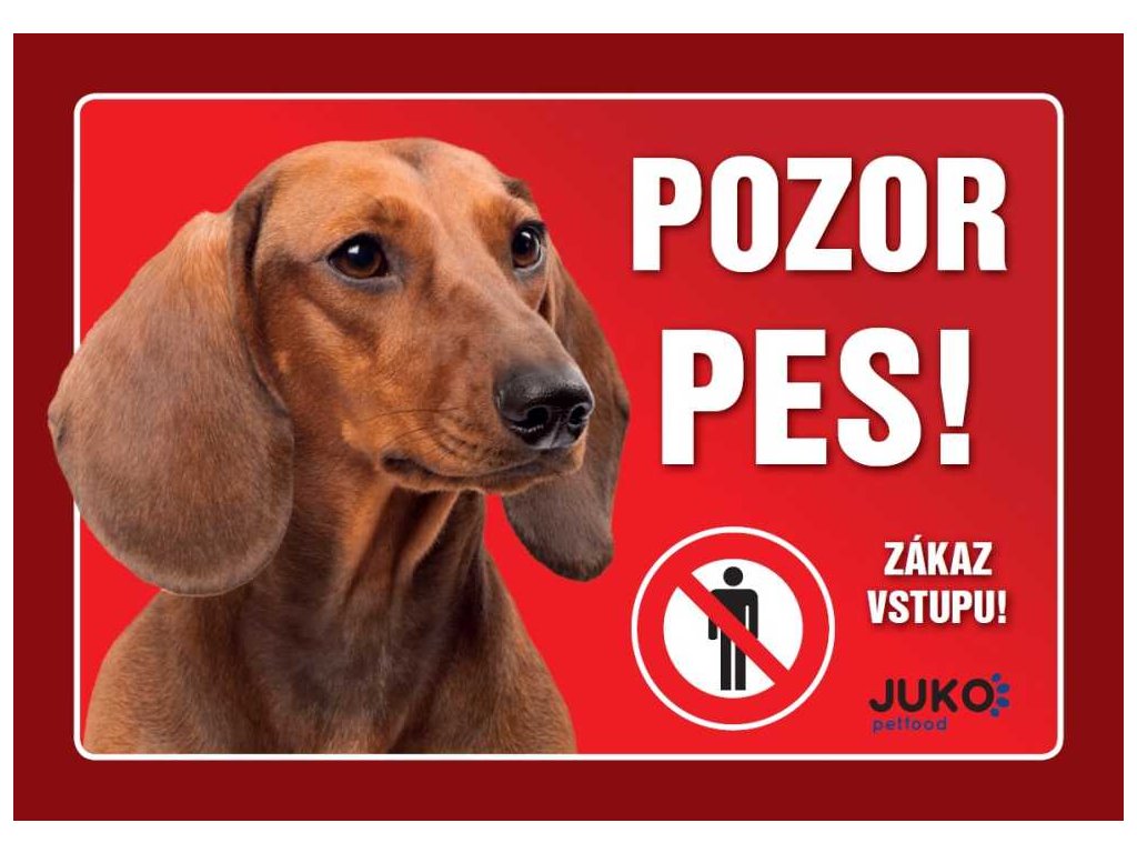 Juko tag DACHSHUND gładkowłosy brązowy