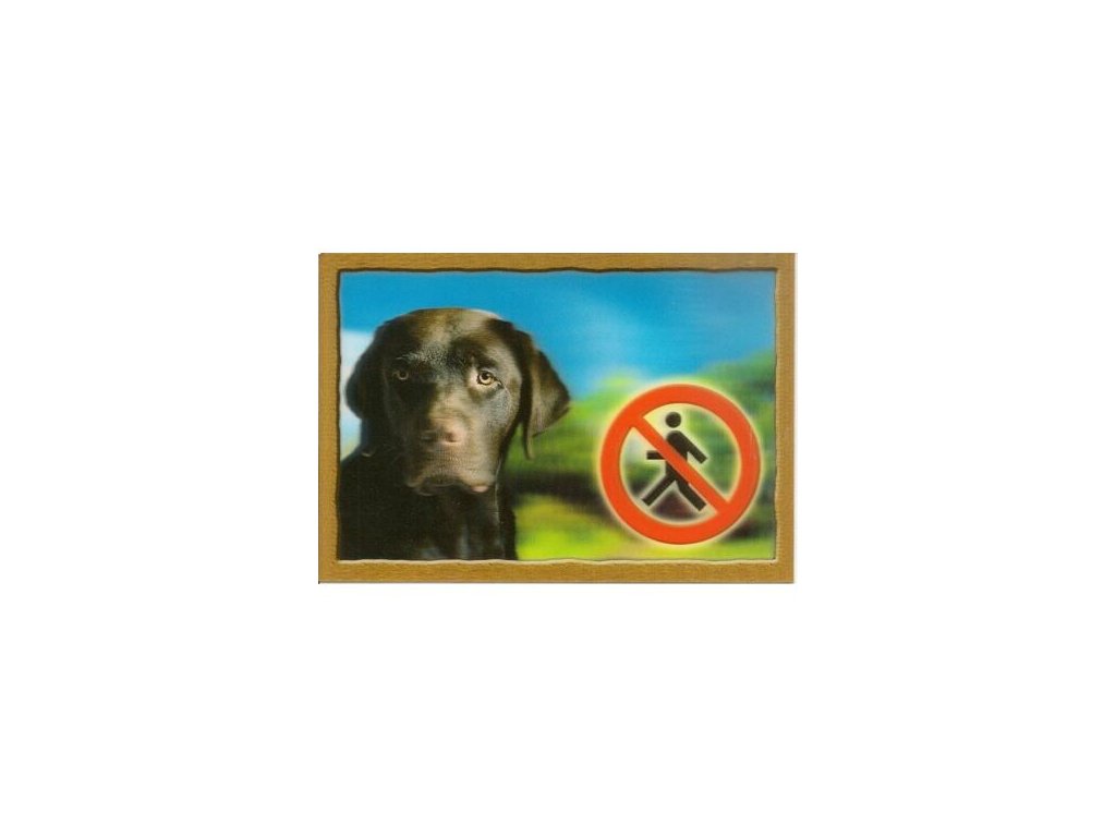 3D Dog Tag, Labrador Retriever (brown)
