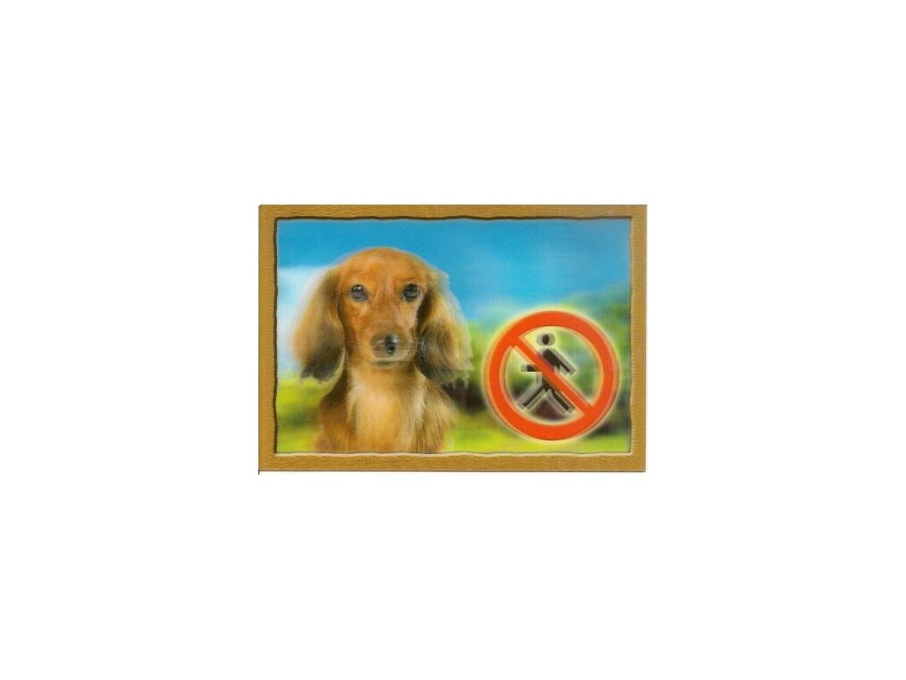 3D Dog Tag, Longhaired Dachshund
