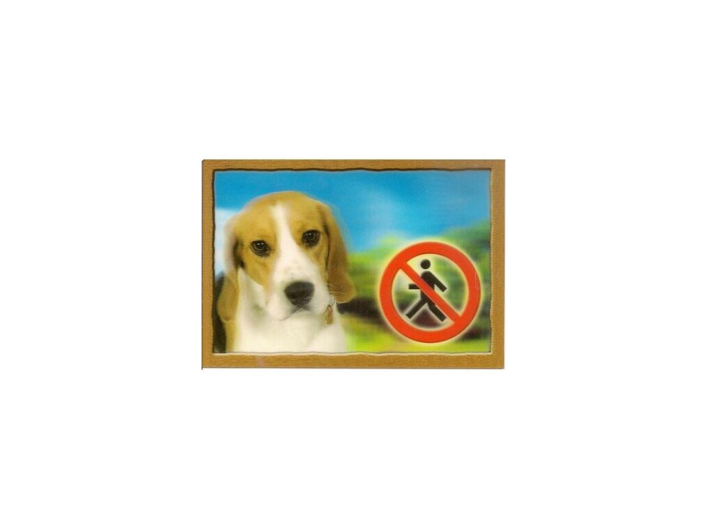3D Dog Tag, Beagle