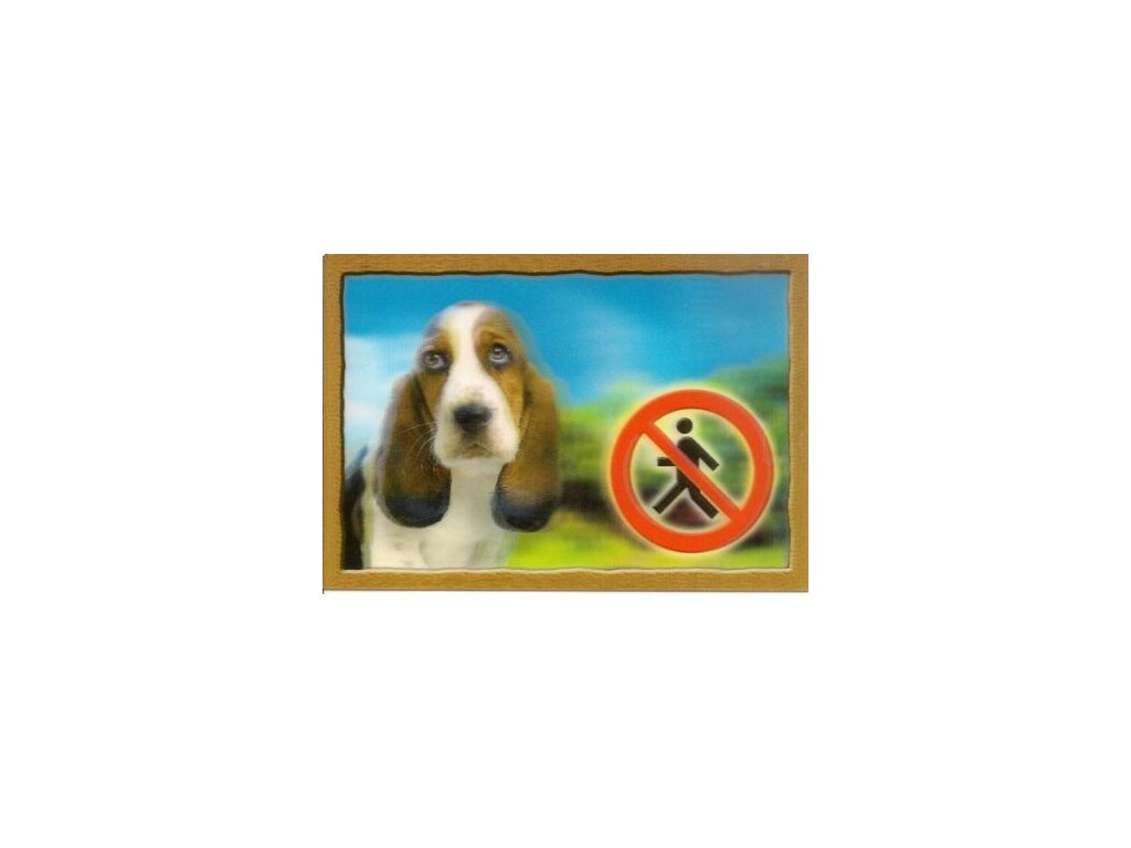 3D Dog Tag, Basset Hound