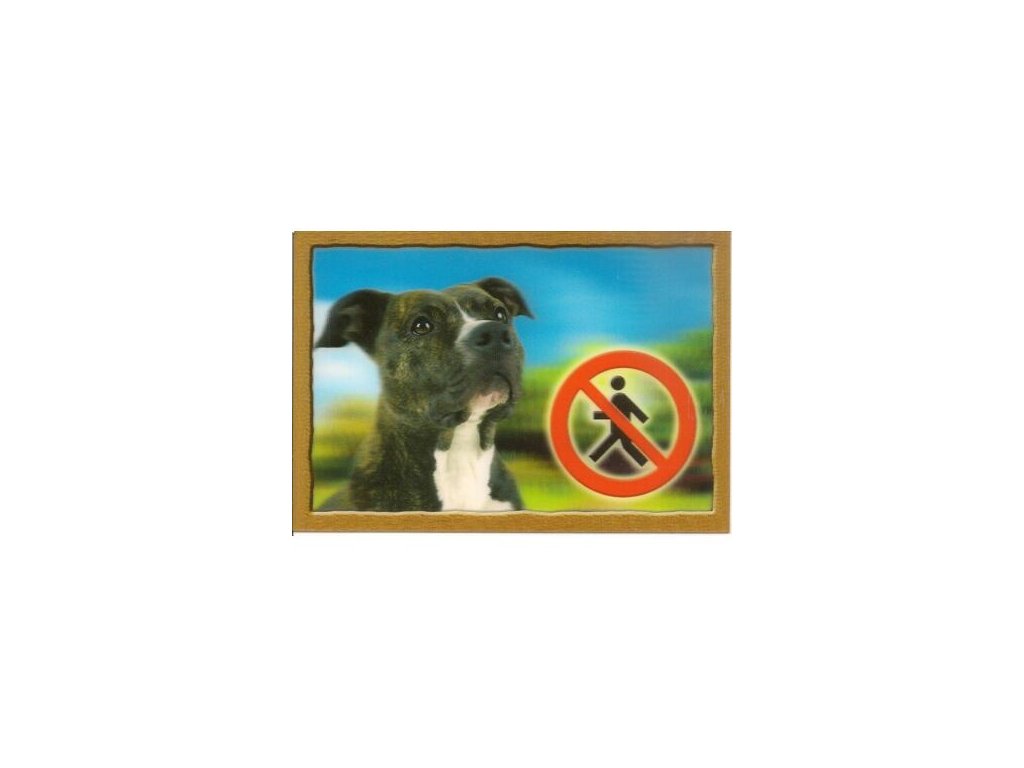 3D Dog Tag, Staffordshire Terrier