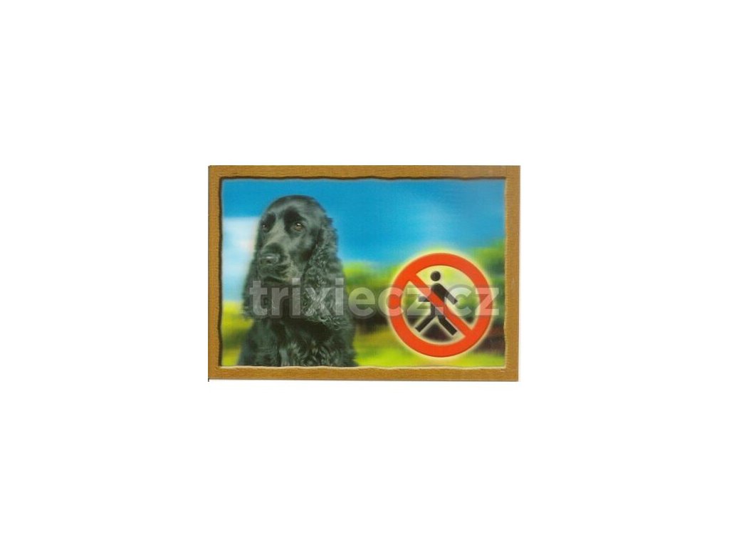 3D Dog Tag, angol cocker spániel fekete
