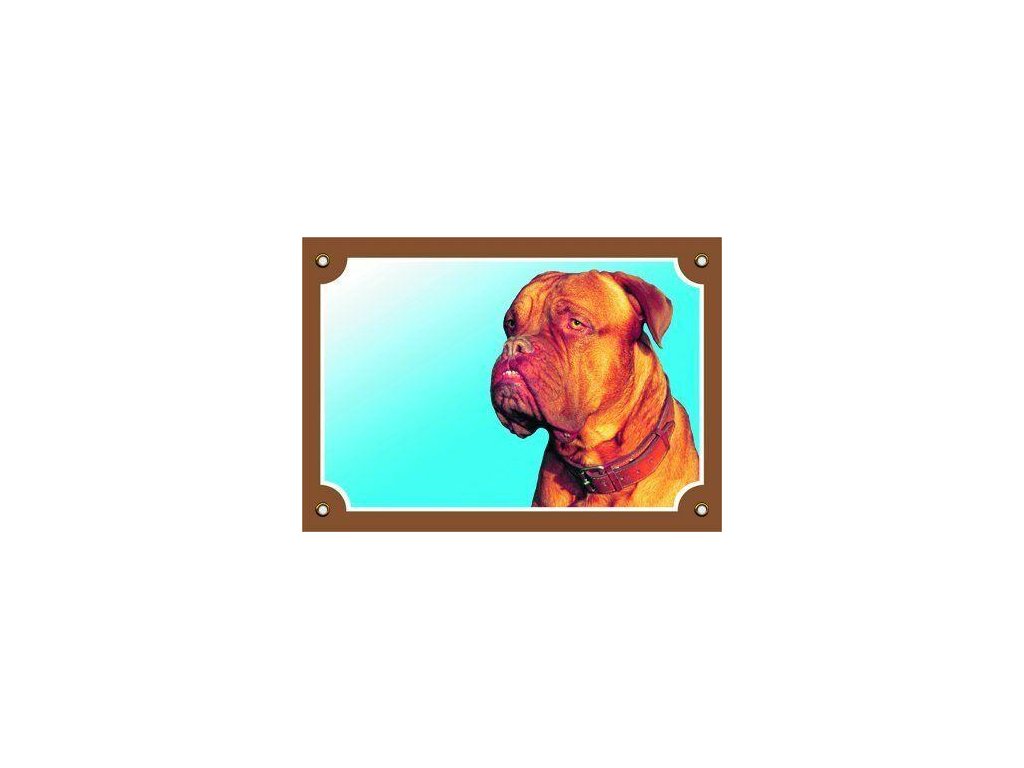 Colorful sign Beware of dog, Dogue de Bordeaux