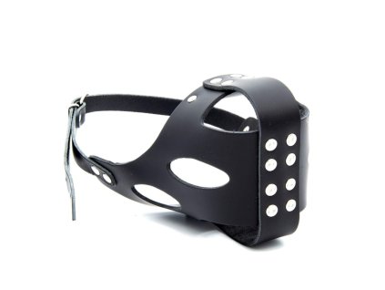 e98cb4adecccdd916989ddde05284402