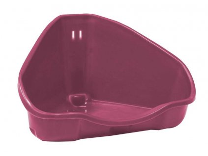 Large corner toilet, rodent