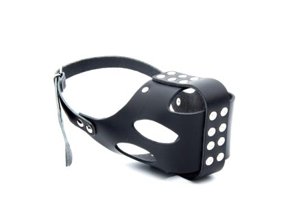 6343f88bd24bcf7be56b35bfff0e10ab