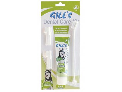 Zahnpasta + Zahnbürsten-Set (Gills Zahnpflegeset)