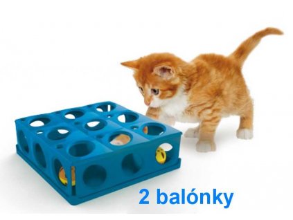 Zawiły labirynt dla kotów