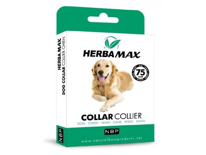 6c12eb6047b1138e82764be7eba9b47a