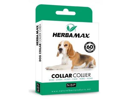 31cfd035165394347f0980e696d57c04