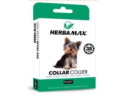 81aa828df925fe84ccc0b3fe6692b191